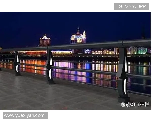 交通护栏的作用与发展趋势分析及其在城市道路安全中的重要性 交通护栏的作用与发展趋势分析及其在城市道路安全中的重要性